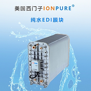 美国西门子IONPURE纯水EDI模块