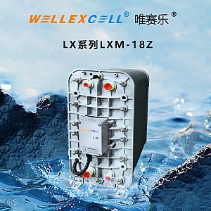 WELLEXCELL唯赛乐LXM18Z EDI模块