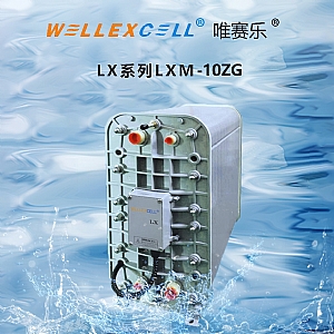 WELLEXCELL唯赛乐LXM10ZG EDI膜块 EDI模块