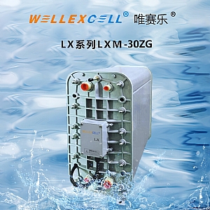 WELLEXCELL唯赛乐LXM30ZG EDI膜块 EDI模块